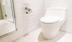 desentupidora de vaso sanitário
